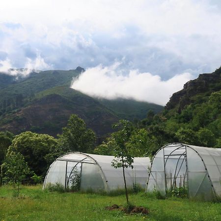 Casa Rural Chao De Castro Riodeporcos Extérieur photo